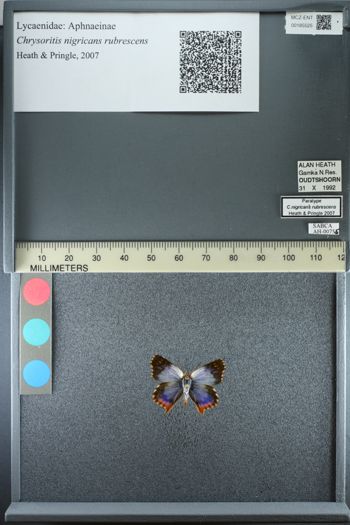 Media type: image;   Entomology 185525